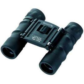 BINOCULAR GAMO 10X25