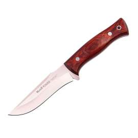 MUELA POINTER 12 MES