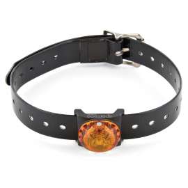 SPORTDOG BEACON LOCATIE LICHTEN